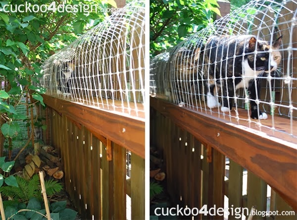 Easy DIY Cat Enclosure to keep your indoor cats happy and safe